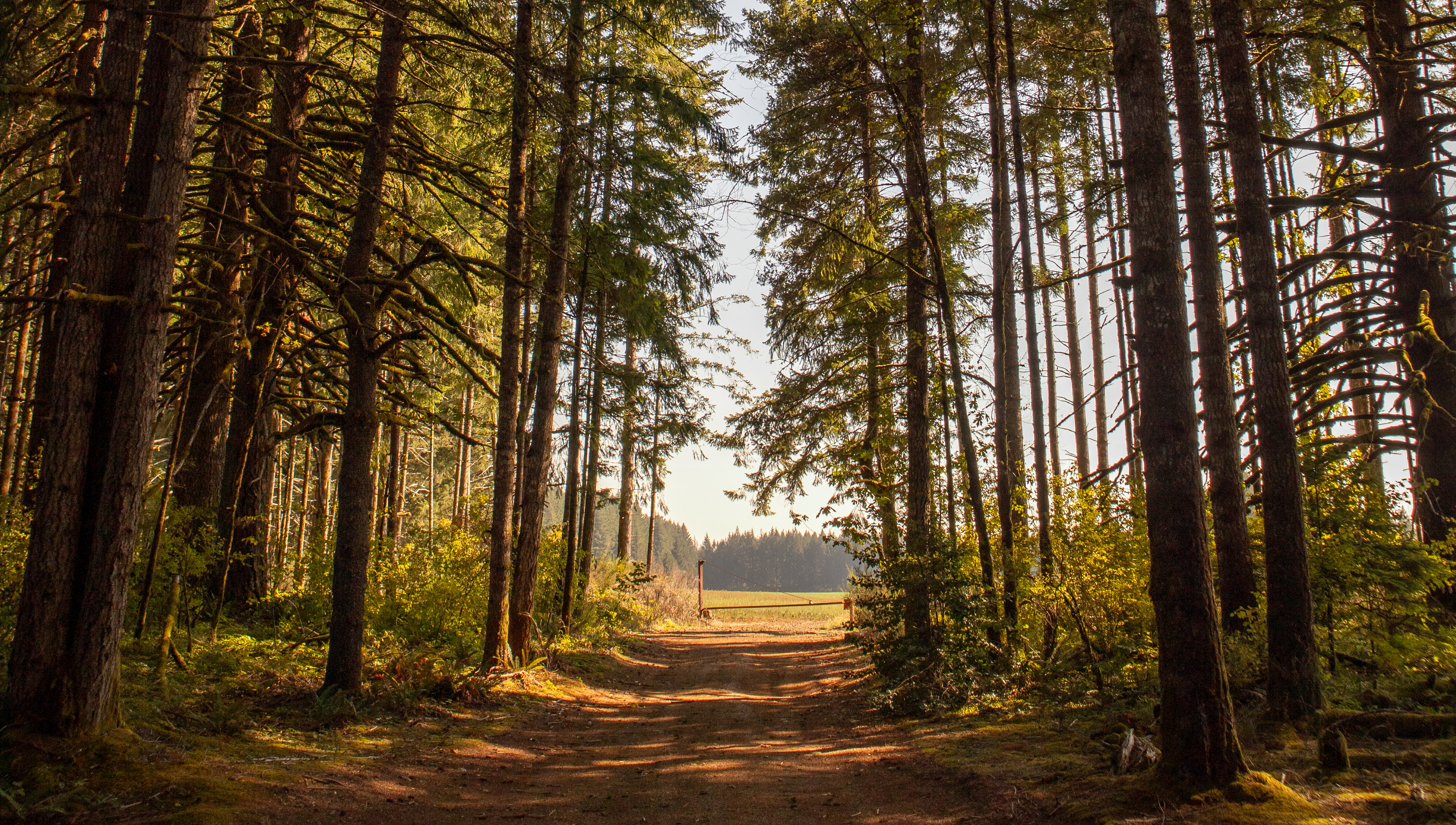 vision de long terme et gouvernance patrimoniale